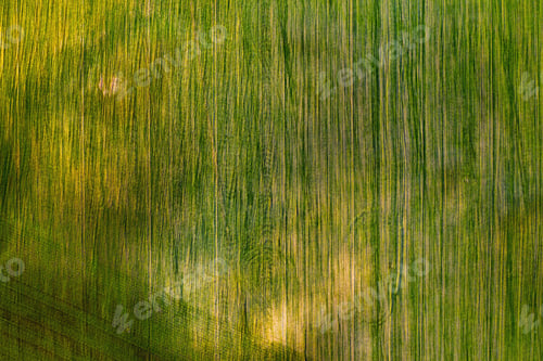 Preview: Bird's-eye view of a green field .Sowing campaign in Belarus.Nature Of Belarus.Own green field