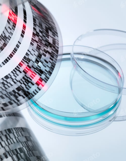 Preview: High angle view of curled DNA sequencing gel and petri dish