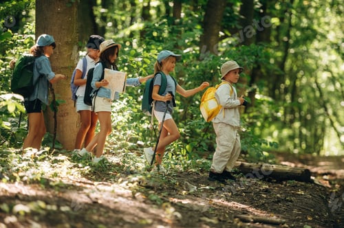 Preview: Weekend activities, walking. Group of children in the forest on a hike