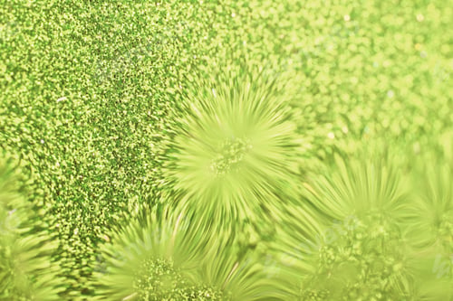 Preview: Background Of Bright Water On The Glass Abstraction