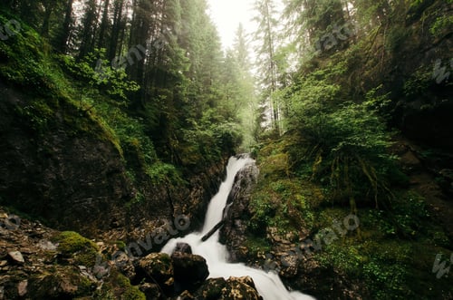 Preview: Mountain waterfall with green vegetation after rain