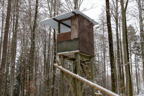 Preview: Wooden hunting tower in the forest