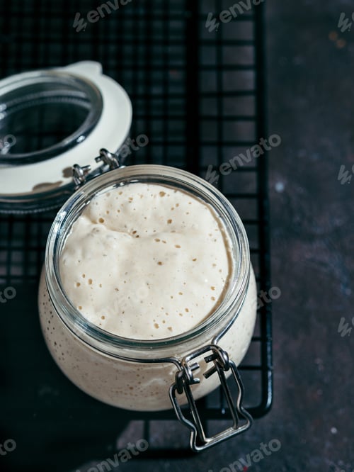 Preview: Wheat sourdough starter, copy space
