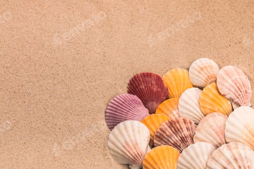 Preview: Multi-colored shells on the sand, background for travel advertising, text, inscription