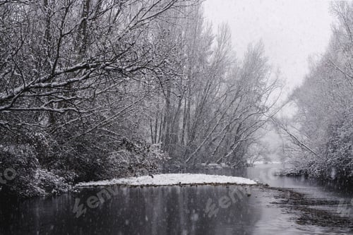 Preview: River streaming between snow forest