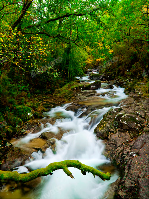 Preview: Beautiful river