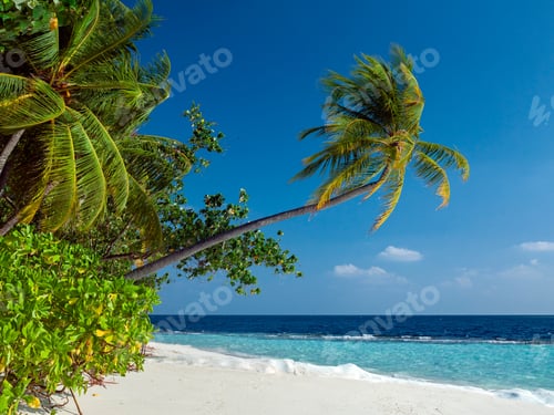 Preview: Maldives - Indian Ocean