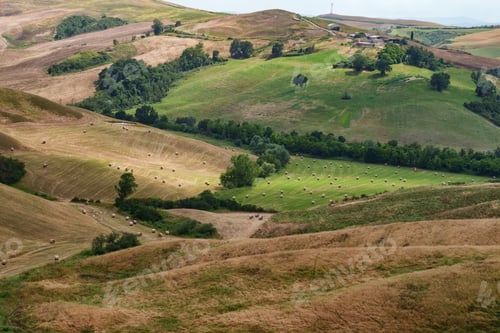 Preview: Rural landscape in Val d Orcia, Tuscany, at summer