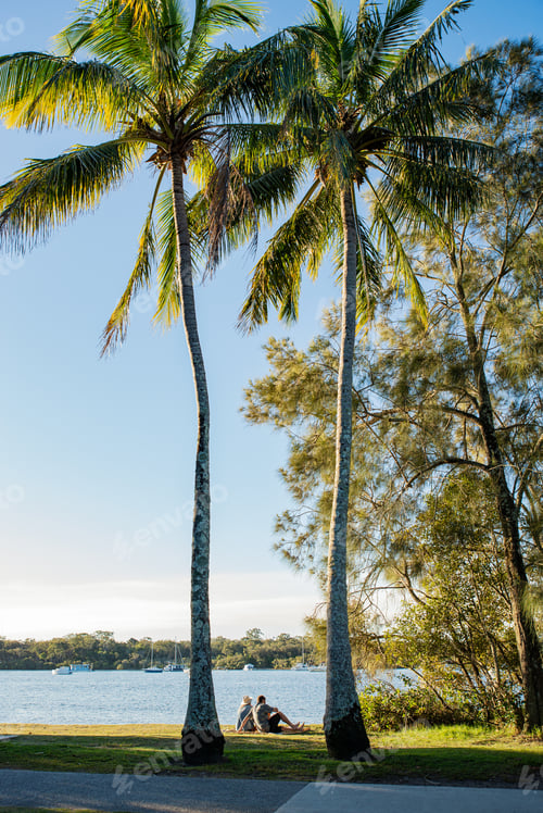 Preview: Rear View of Couple Sitting Under Palms Trees on a Sunny Day. Vacation Concept. Outdoor Concept