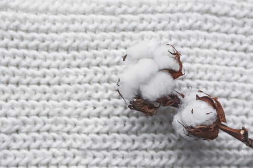 Preview: Cotton Flower with knitted cap and scarf, flat lay on marble background, winter style