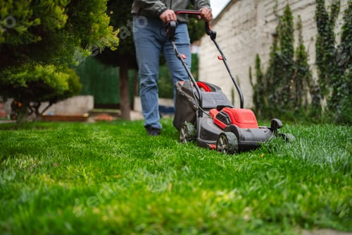 Preview: Mowing the lush green lawn on a sunny afternoon in a charming backyard garden setting