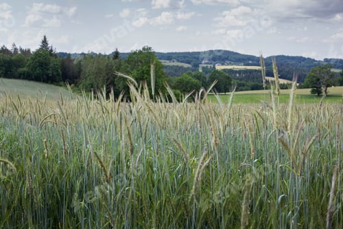 Preview: Agriculture in the French rural landscape