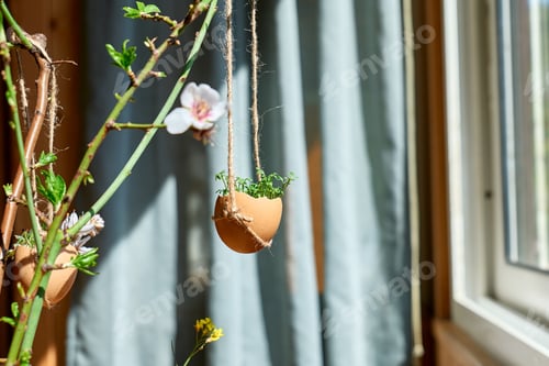 Preview: Easter home decoration. Microgreens in egg shell hanging on spring twigs as easter decoration.Easter