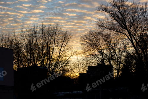 Preview: silhouette of bare tree branches in springtime with beautiful sunset and clouds
