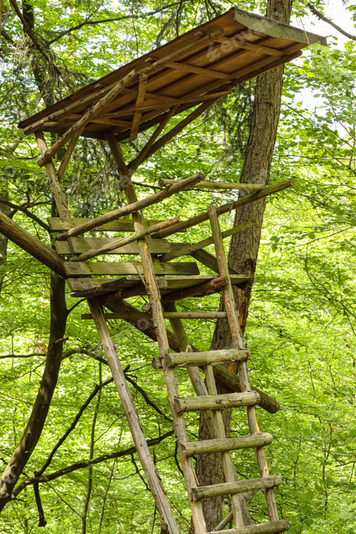 Preview: Vertical shot of a hunter's high seat in the woods