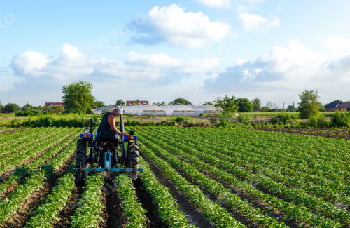 Preview: The farmer drives a tractor and plows the field.