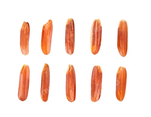 Preview: brown rice isolated on white background. top view