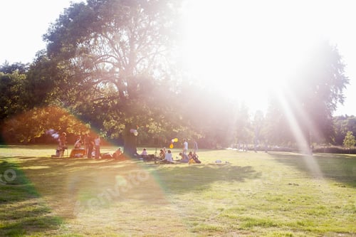 Preview: Adults friends sitting under a tree at sunset party in park