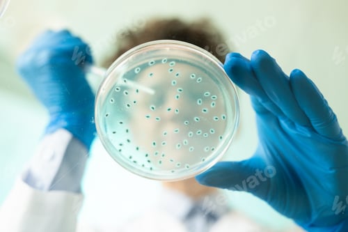 Preview: Examining substance in petri dish