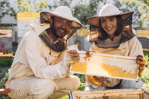 Preview: Couple of happy smiling beekeepers working with beekeeping tools near beehive at bee farm