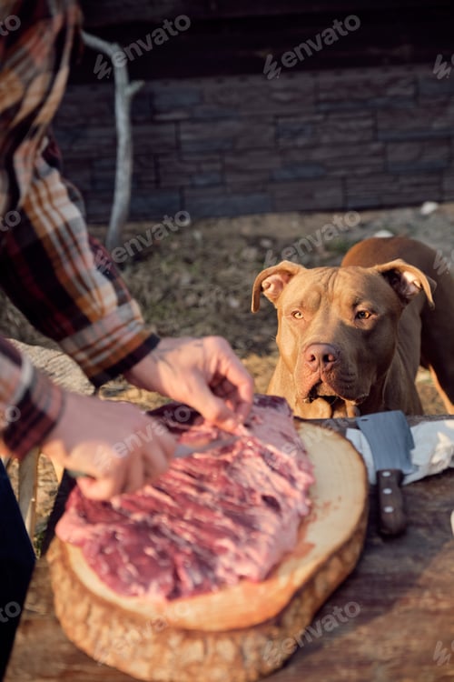 Preview: Farmer cooking meat outdoors