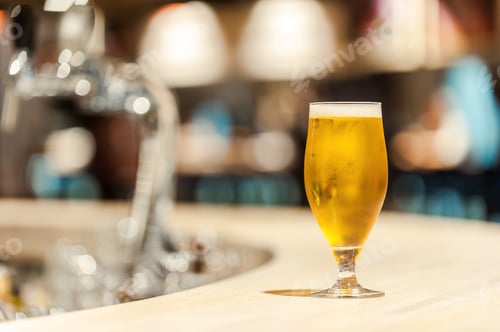Preview: Ice cold beer. Close-up of fresh glass of beer standing on bar counter