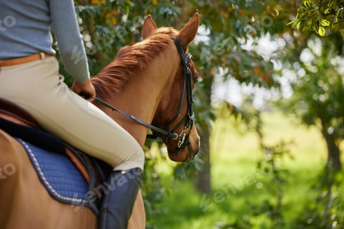 Preview: No one can teach riding so well as a horse