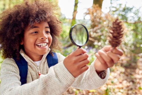 Preview: Boy In Spring Woodlands Examining Pine Cone With Magnifying Glass
