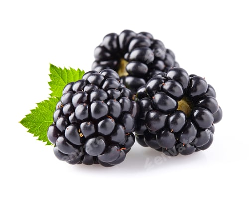 Preview: Blackberries with leaves