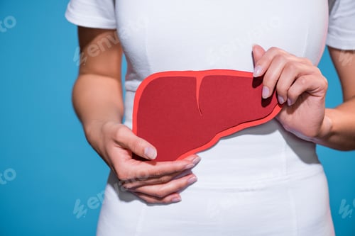 Preview: cropped shot of woman holding paper crafted liver in hands on blue background