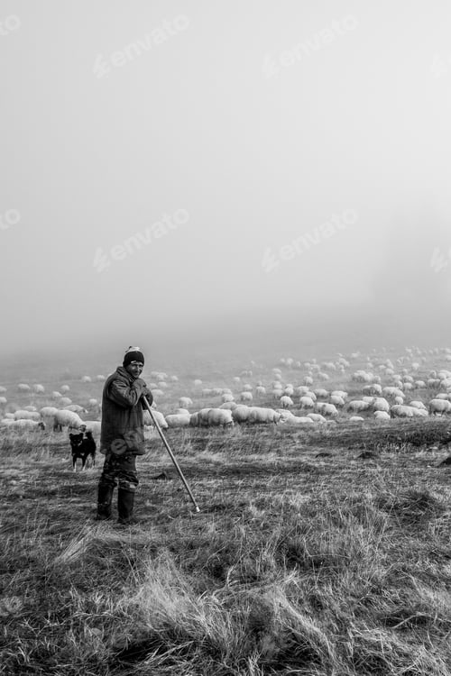 Preview: The Shepherd and his dog