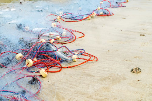 Preview: Close up Fishing nets catch dead fish on beach sand