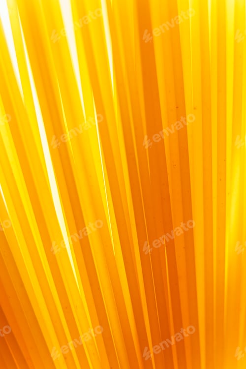 Preview: Close up background of spaghetti pasta
