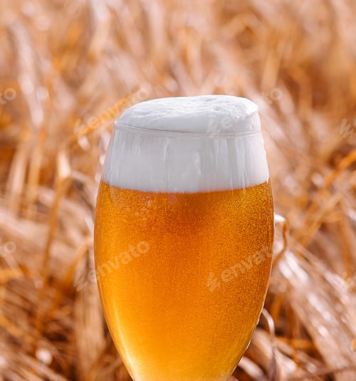 Preview: glass of blonde beer on wooden table with sunny wheat field