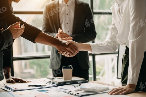 Preview: business people shaking hands during a meeting