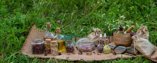 Preview: A woman collects medicinal herbs. Selective focus. Nature.