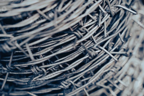 Preview: macro detail of roll of steel barbed wire