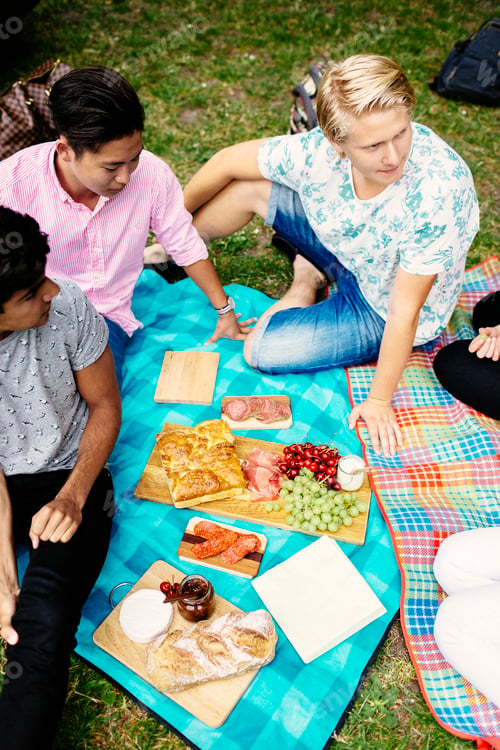Preview: High angle view of friends having food during picnic at park