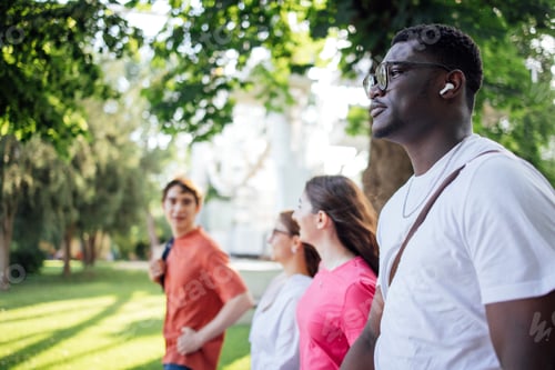 Preview: Group of diverse friends walking together in a sunlit park, enjoying each other company