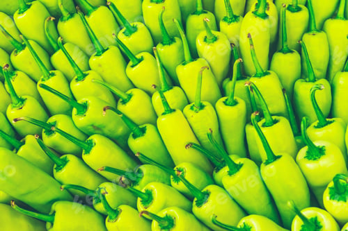 Preview: vegetable background. Many colorful paprika. Colorful vegetables in the market.