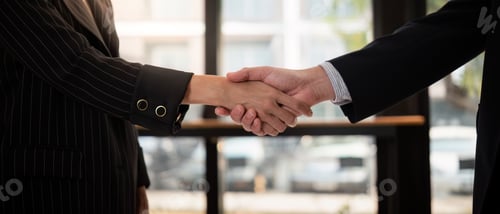 Preview: Professional Business Handshake Between Two Individuals in Formal Attire in a Modern Office Setting