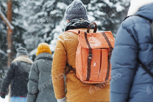 Preview: Group of hikers walking in line