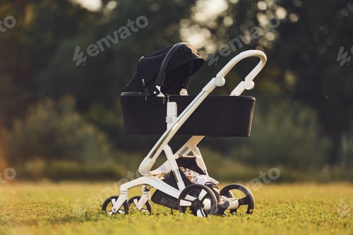 Preview: Pram is on the field with green grass and trees at background at daytime