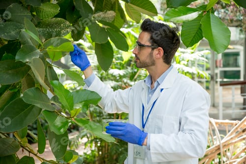 Preview: Biologist collecting samples from a tree in a greenhouse