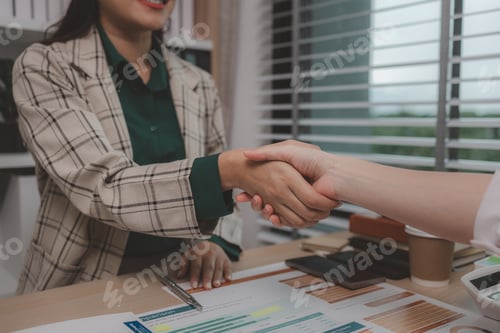 Preview: Successful Businesswomen Shaking Hands after a Deal