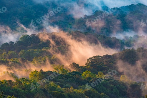 Preview: Bird eyes view on tropical forest Thailand