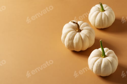 Preview: White pumpkins flat lay on brown background