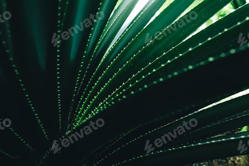 Visualização: Detalhe de uma folha tropical verde radiante com padrões e texturas intrincados