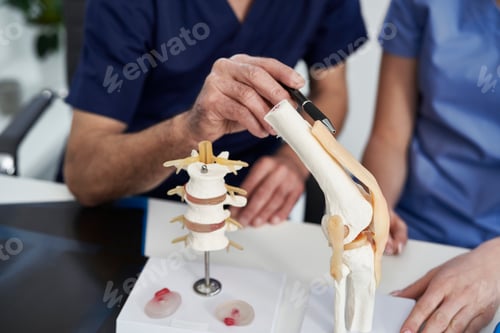 Preview: Close up of human body skeleton model in doctor's office
