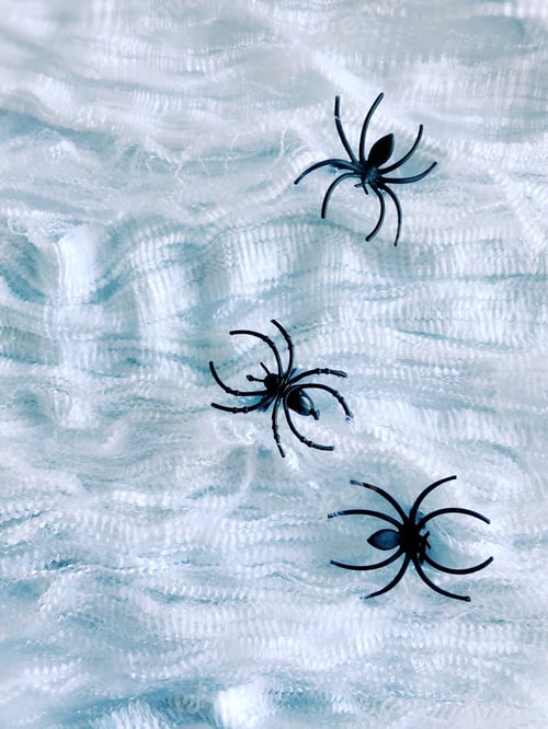 Preview: Black Halloween spiders on a textured background surface with copy space for text overlay